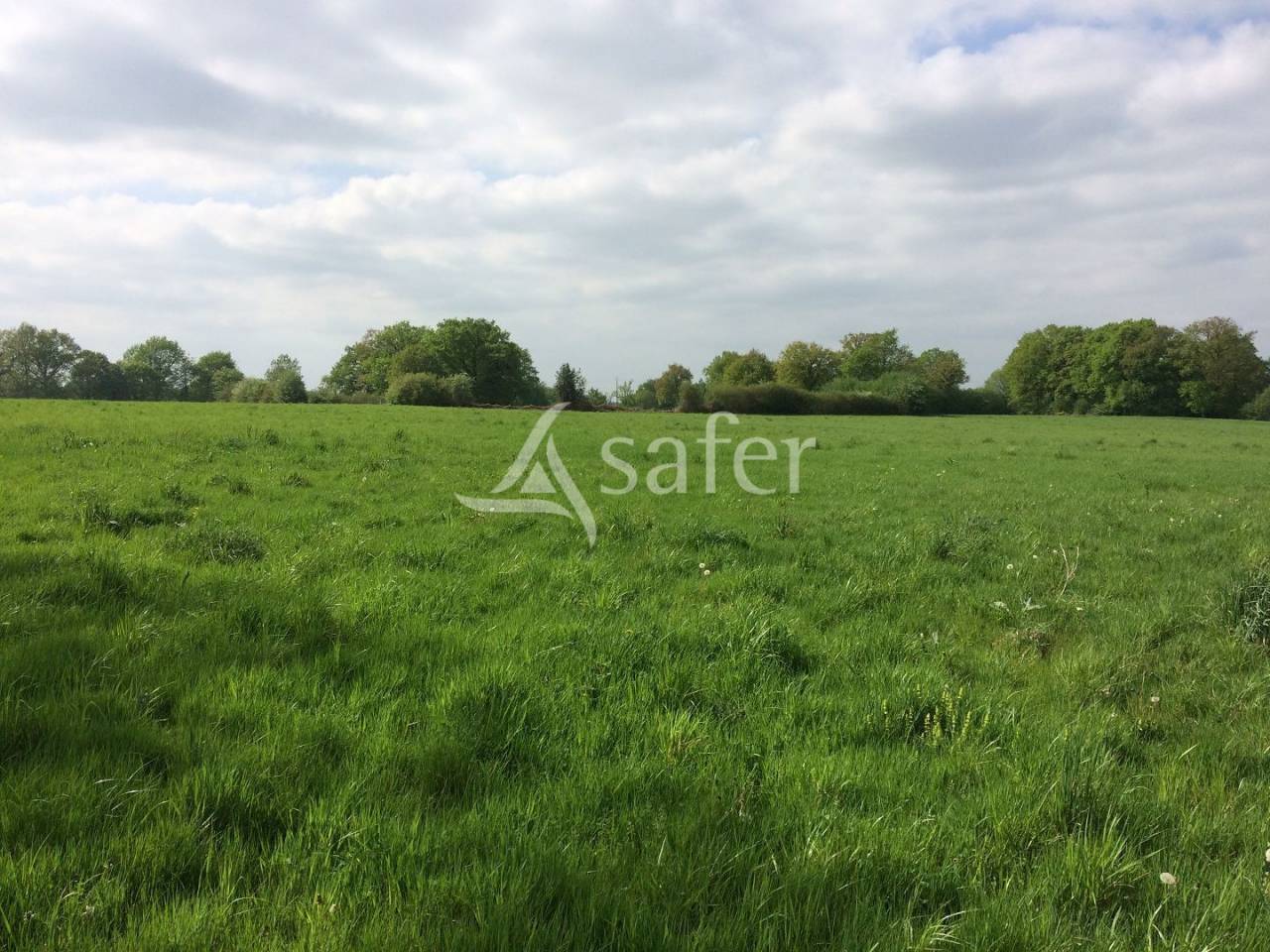 Explotación agrícola En venta Alto Vienne