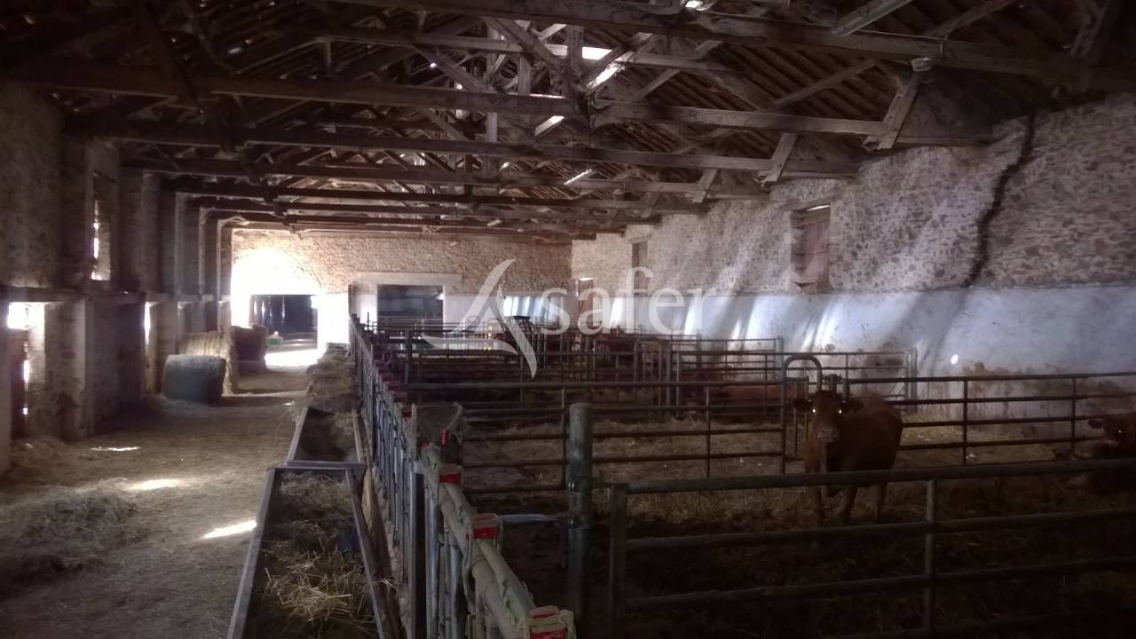 Explotación agrícola En venta Alto Vienne