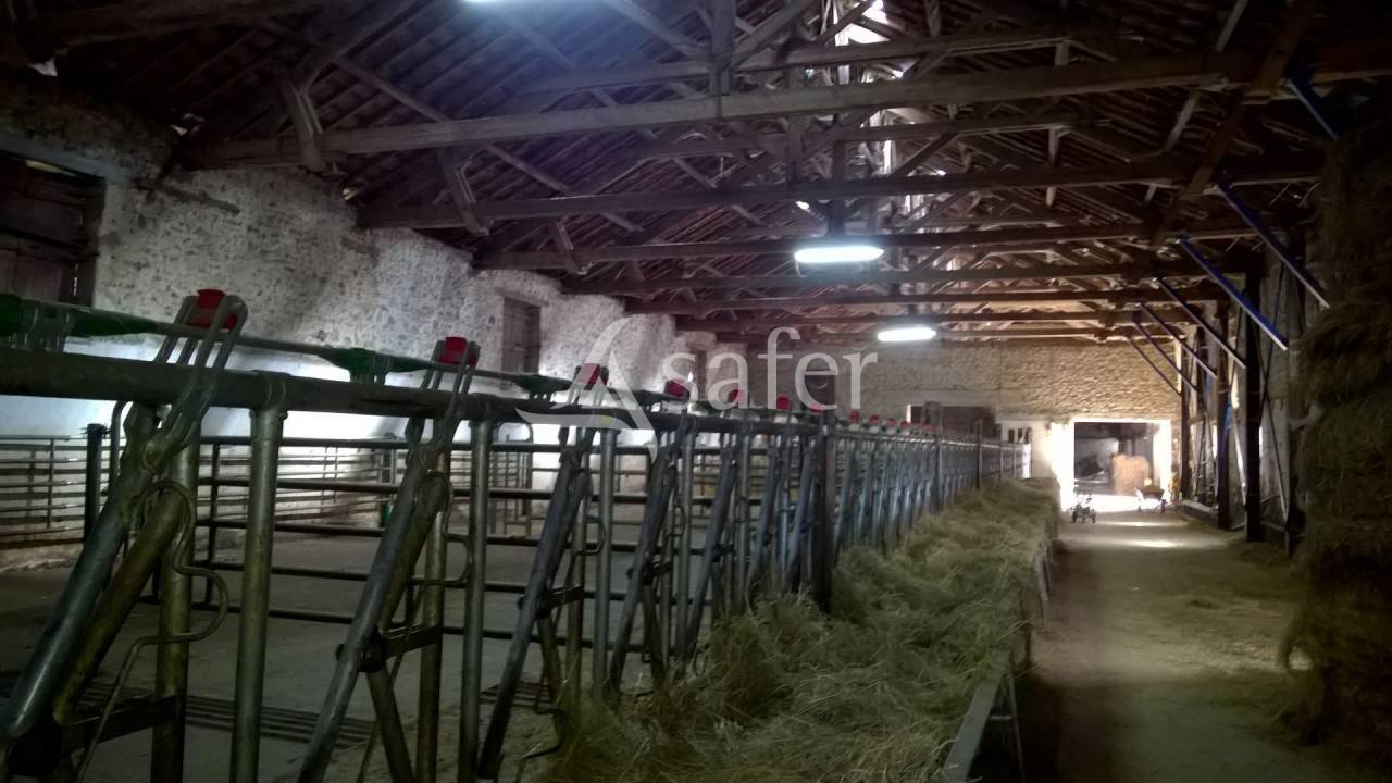 Explotación agrícola En venta Alto Vienne
