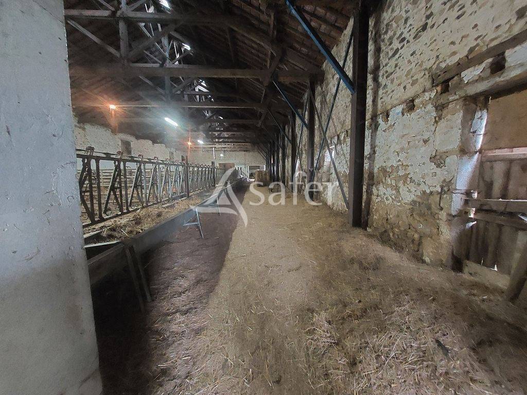 Explotación agrícola En venta Alto Vienne