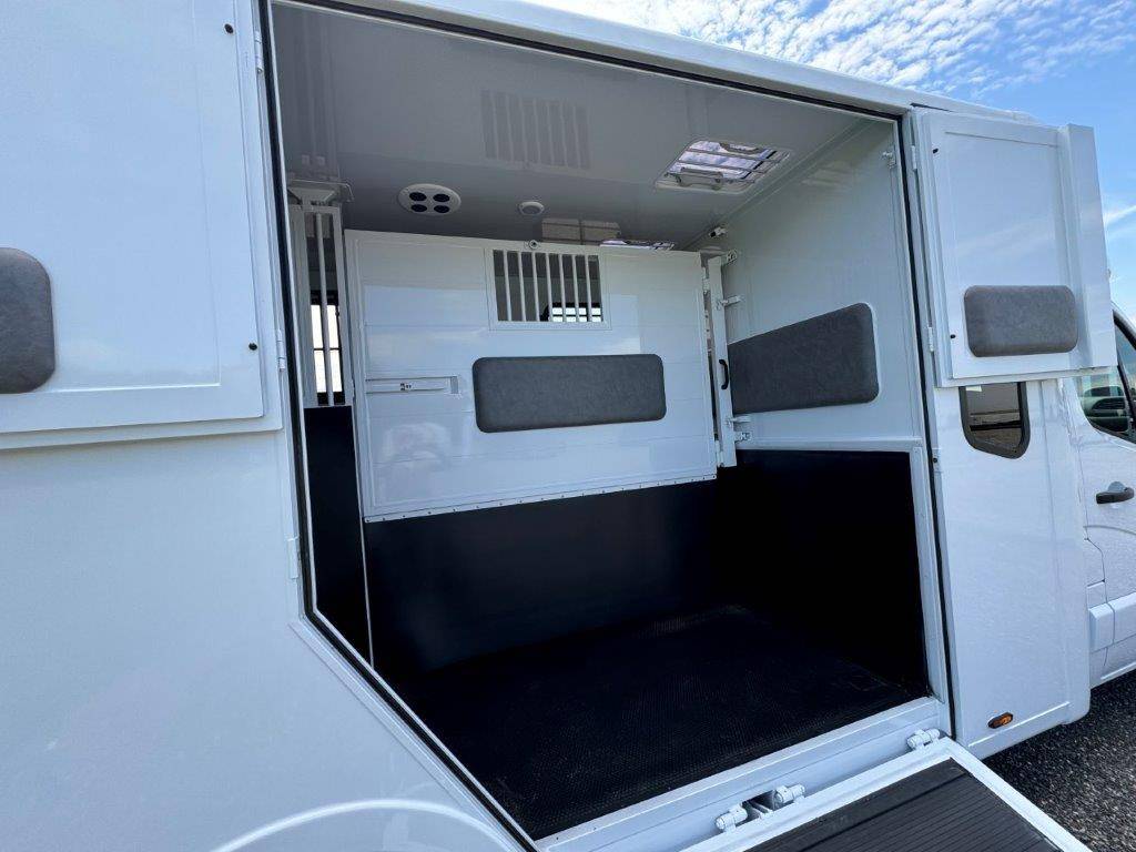 Furgoneta para caballos TBST RENAULT MASTER 2024 Nuevo