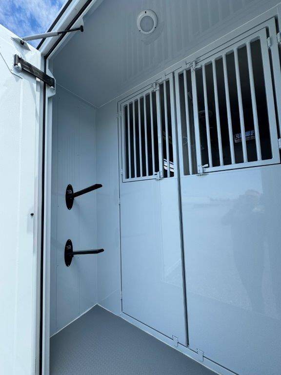 Furgoneta para caballos TBST RENAULT MASTER 2024 Nuevo