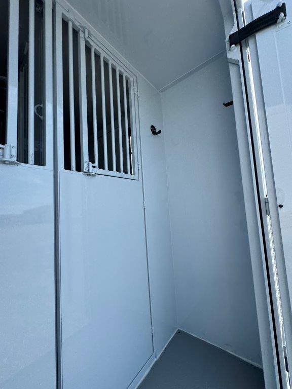 Furgoneta para caballos TBST RENAULT MASTER 2024 Nuevo