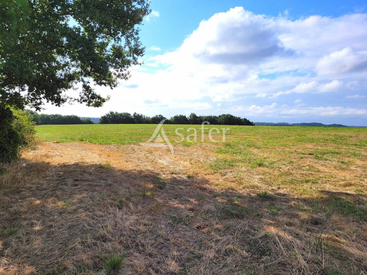 Propiedad ecuestre En venta Tarn y Garona