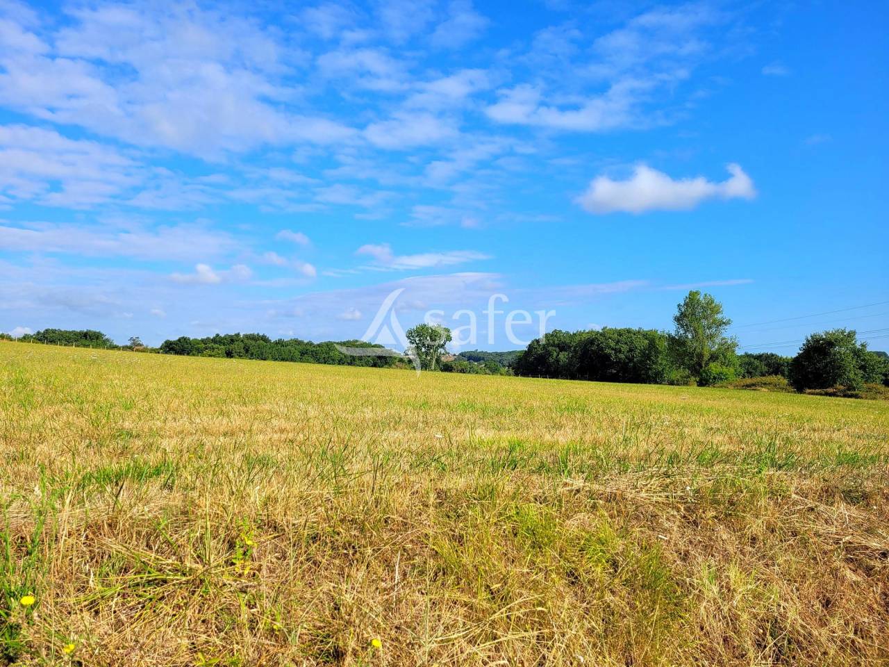 Propiedad ecuestre En venta Tarn y Garona