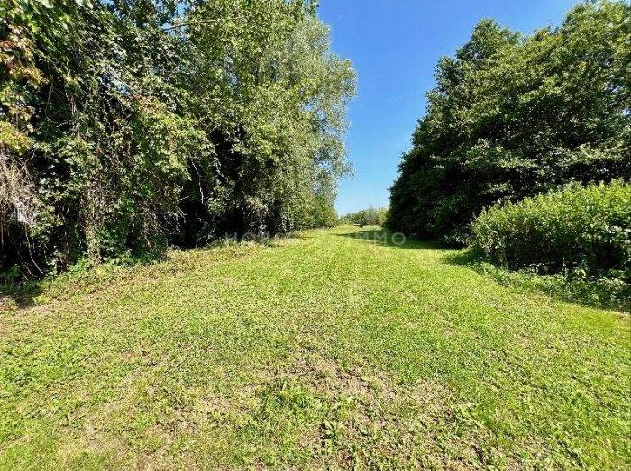 Propiedad ecuestre En venta Ain