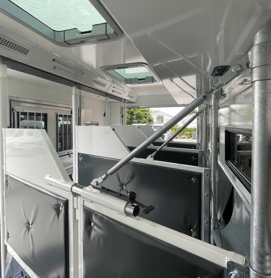 Camión para caballos Man MAN 0 Nuevo