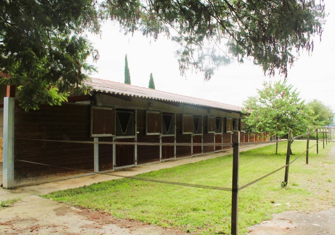 Propiedad ecuestre En venta Gers