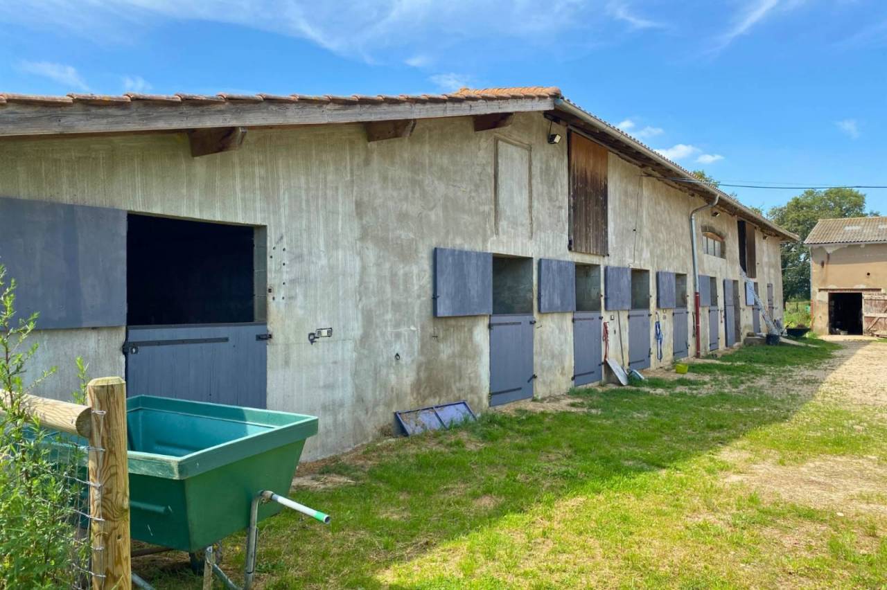 Propiedad ecuestre En venta Ain