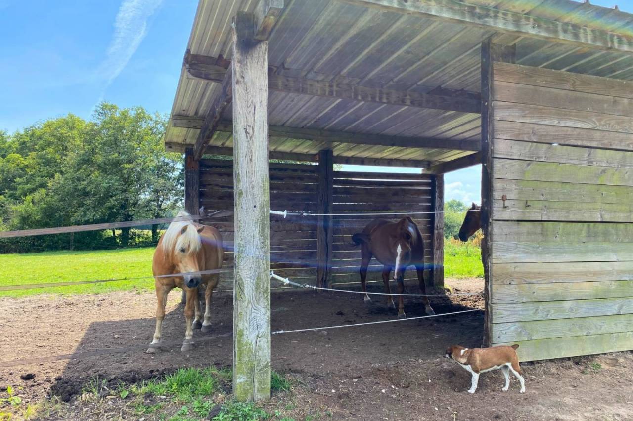 Propiedad ecuestre En venta Ain