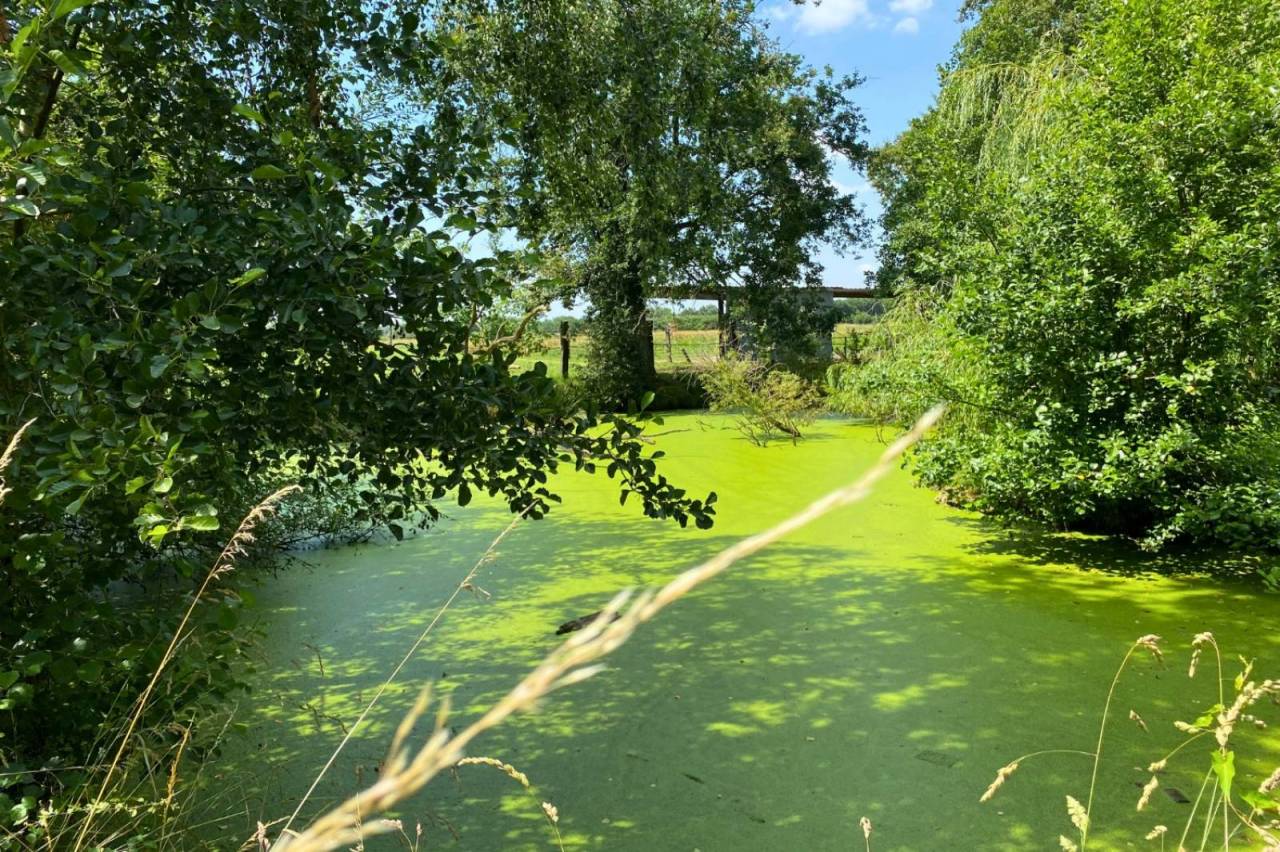 Propiedad ecuestre En venta Ain