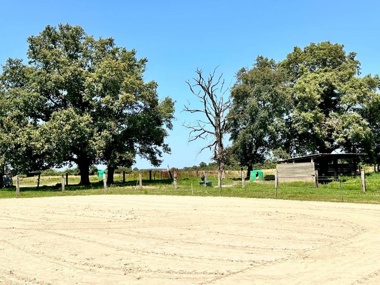 Propiedad ecuestre En venta Ain