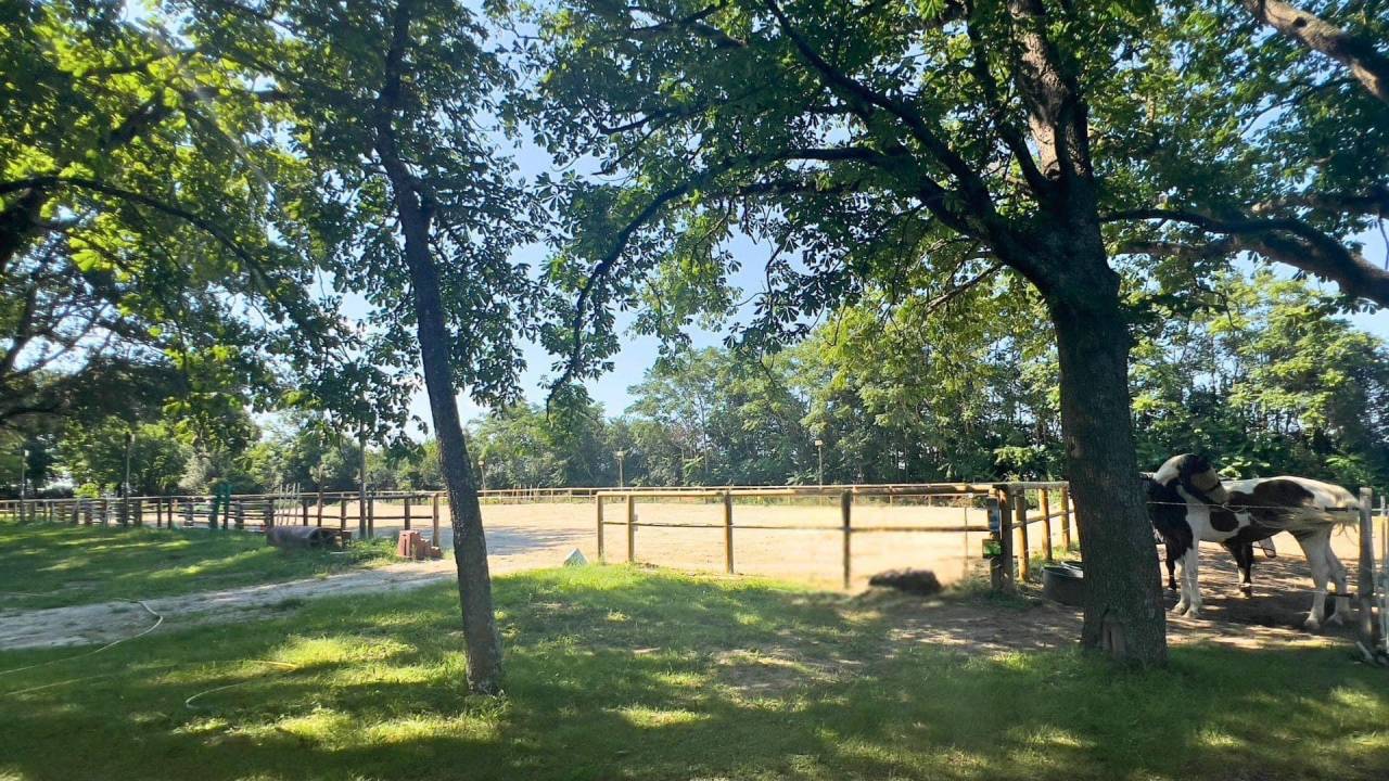 Propiedad ecuestre En venta Aude