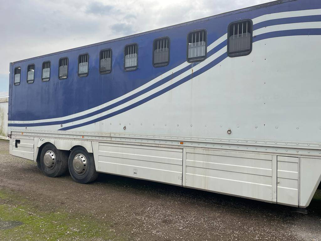 Camión para caballos Renault RENAULT 0 De segunda mano