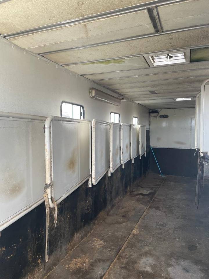 Camión para caballos Renault RENAULT 0 De segunda mano