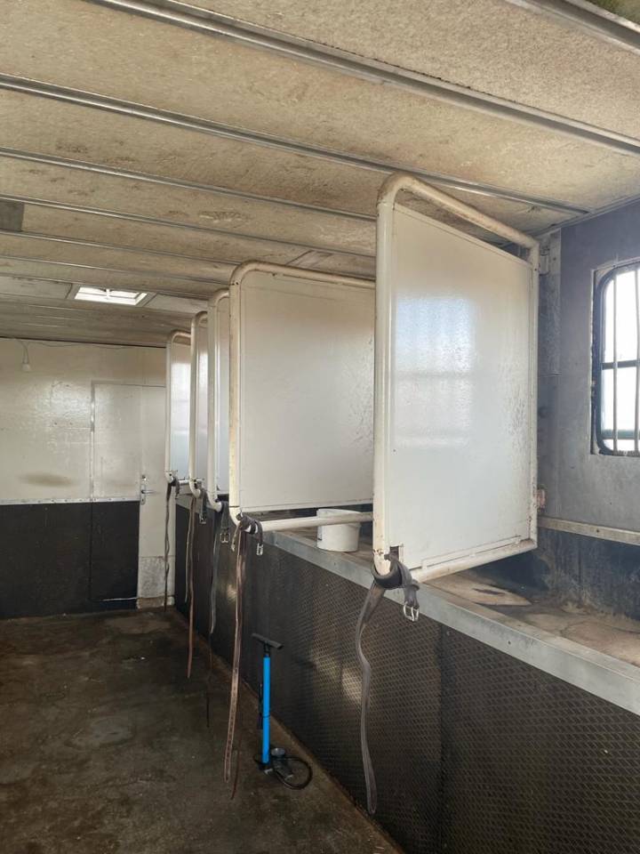 Camión para caballos Renault RENAULT 0 De segunda mano