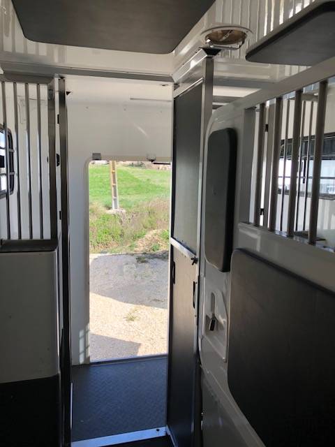 Furgoneta para caballos Trans Box New Svelto 3 2024 De segunda mano