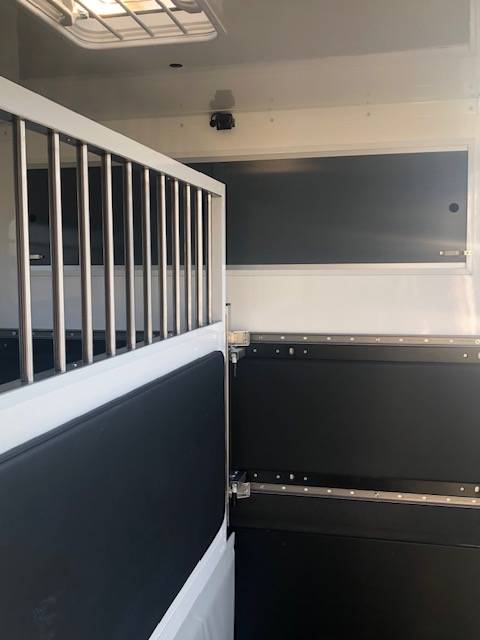 Furgoneta para caballos Trans Box New Svelto 3 2024 De segunda mano