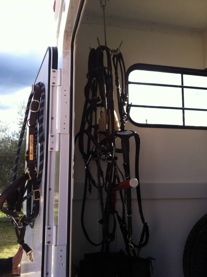 Furgoneta para caballos Trans Box New Svelto 3 2024 De segunda mano