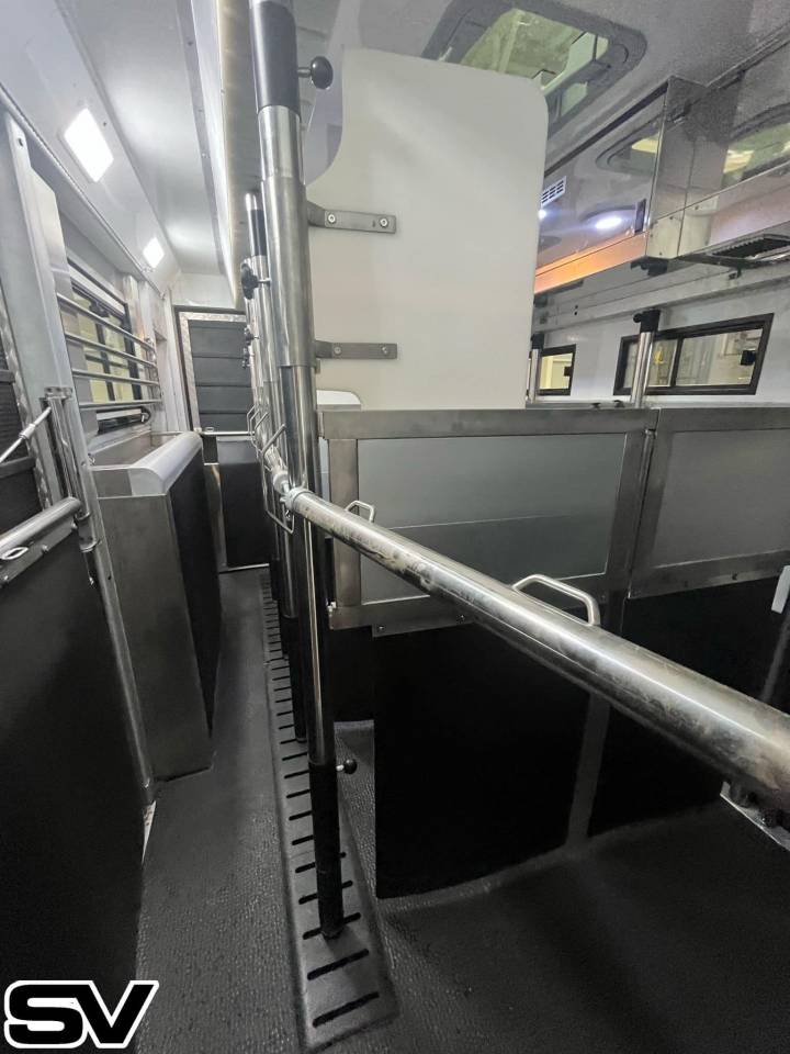 Camión para caballos Daf xf 460 2019 Nuevo