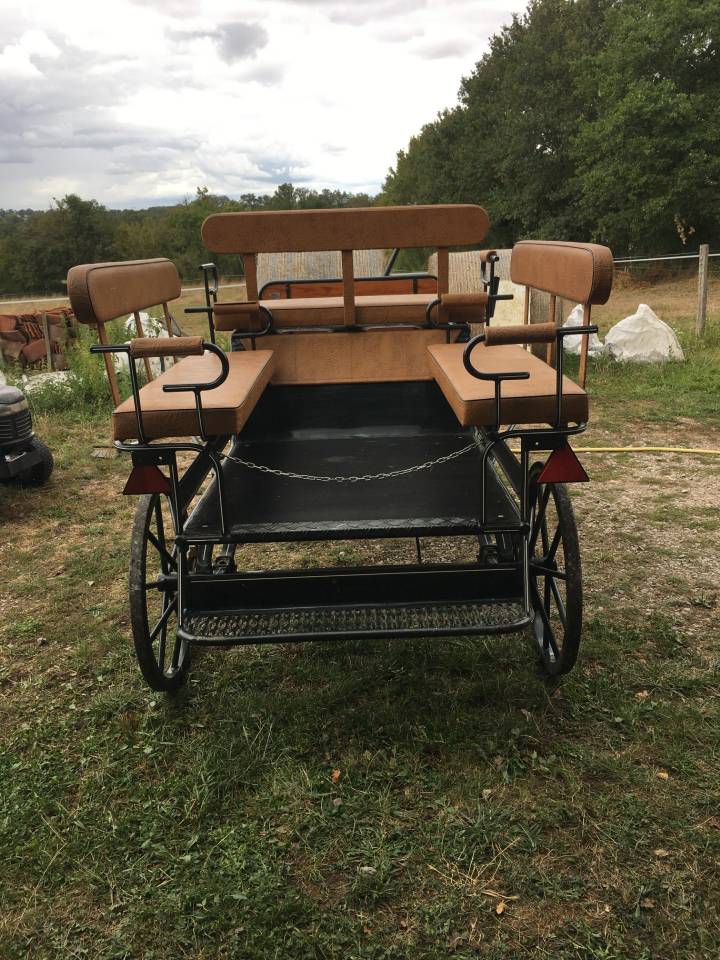 Coche enganches - Calesa - Otra marca - equitech 