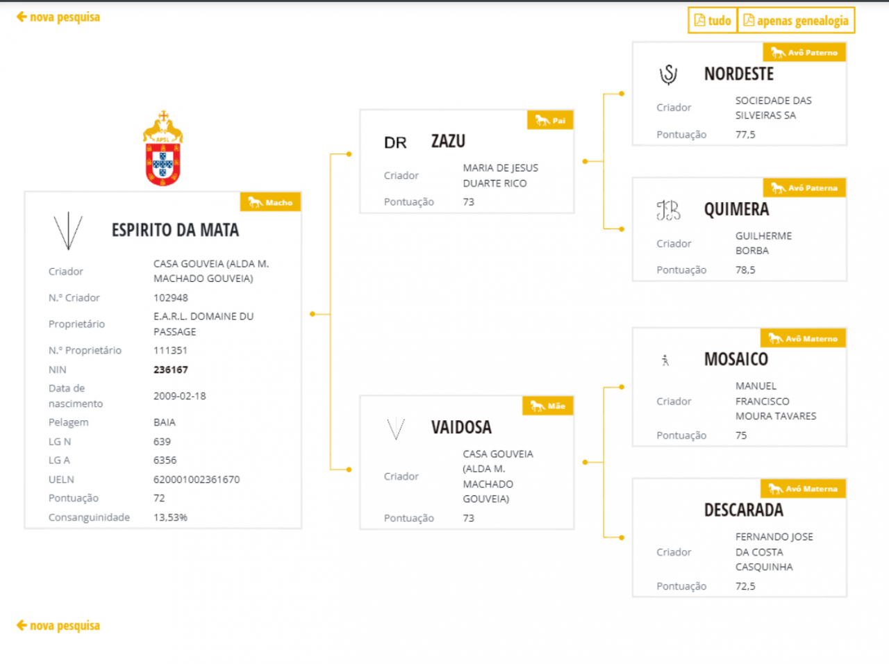 Semental Lusitano En venta 2009 Isabelo
