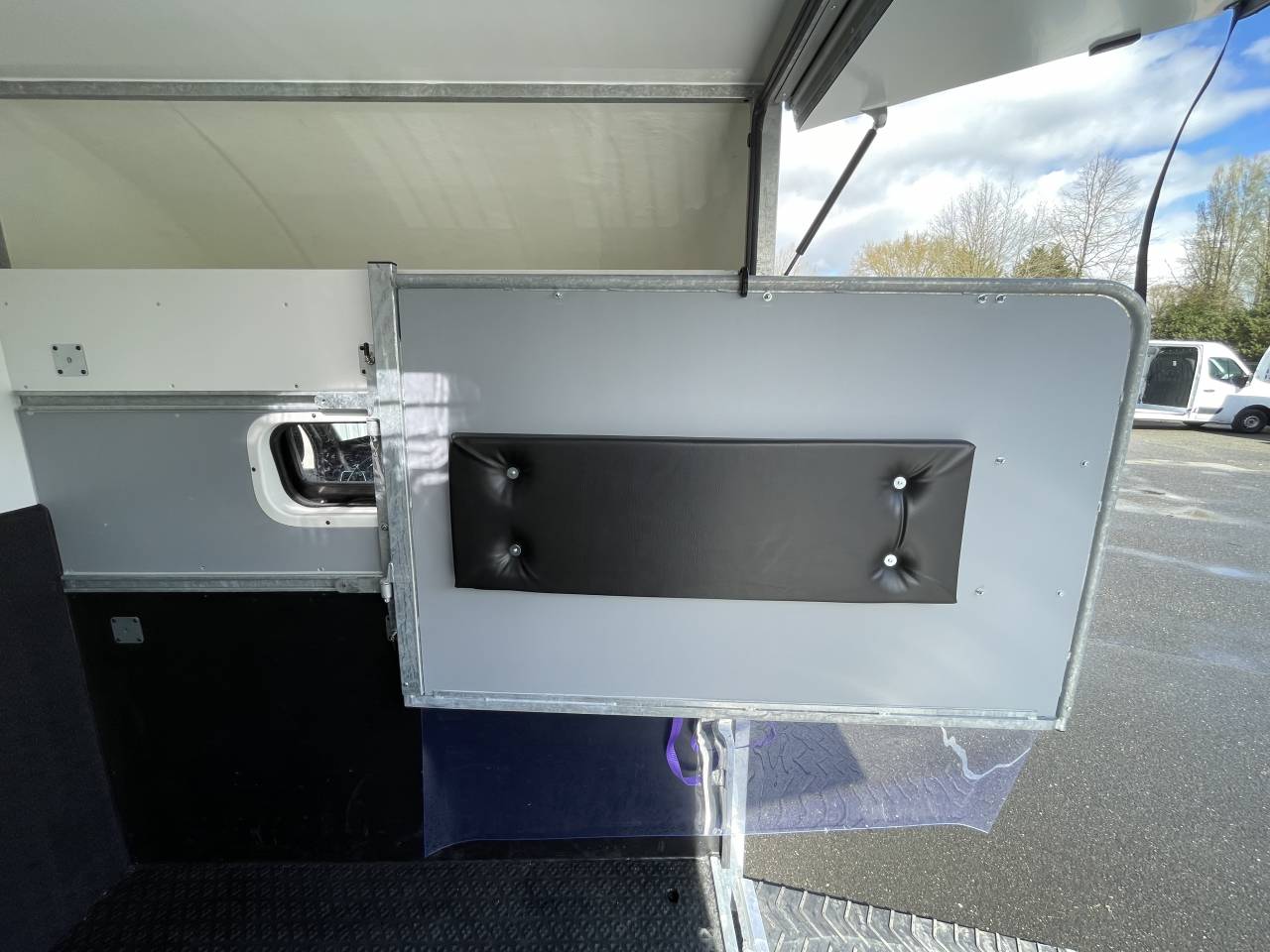 Furgoneta para caballos AP Petit Renault MASTER L2 2020 De segunda mano