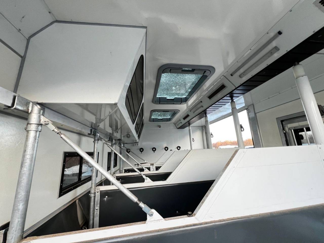 Camión para caballos Man MAN 0 De segunda mano