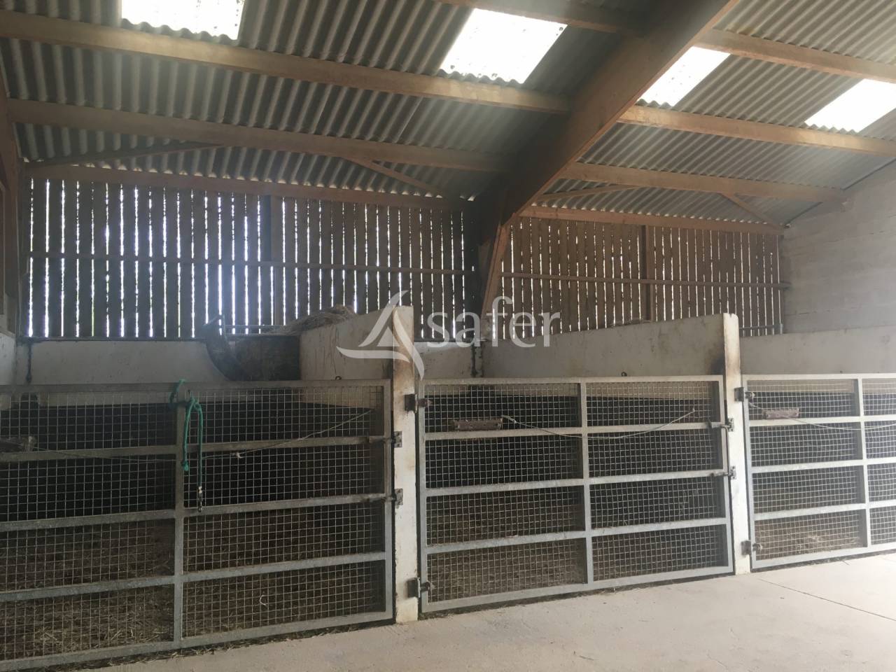 Propiedad ecuestre En venta Orne