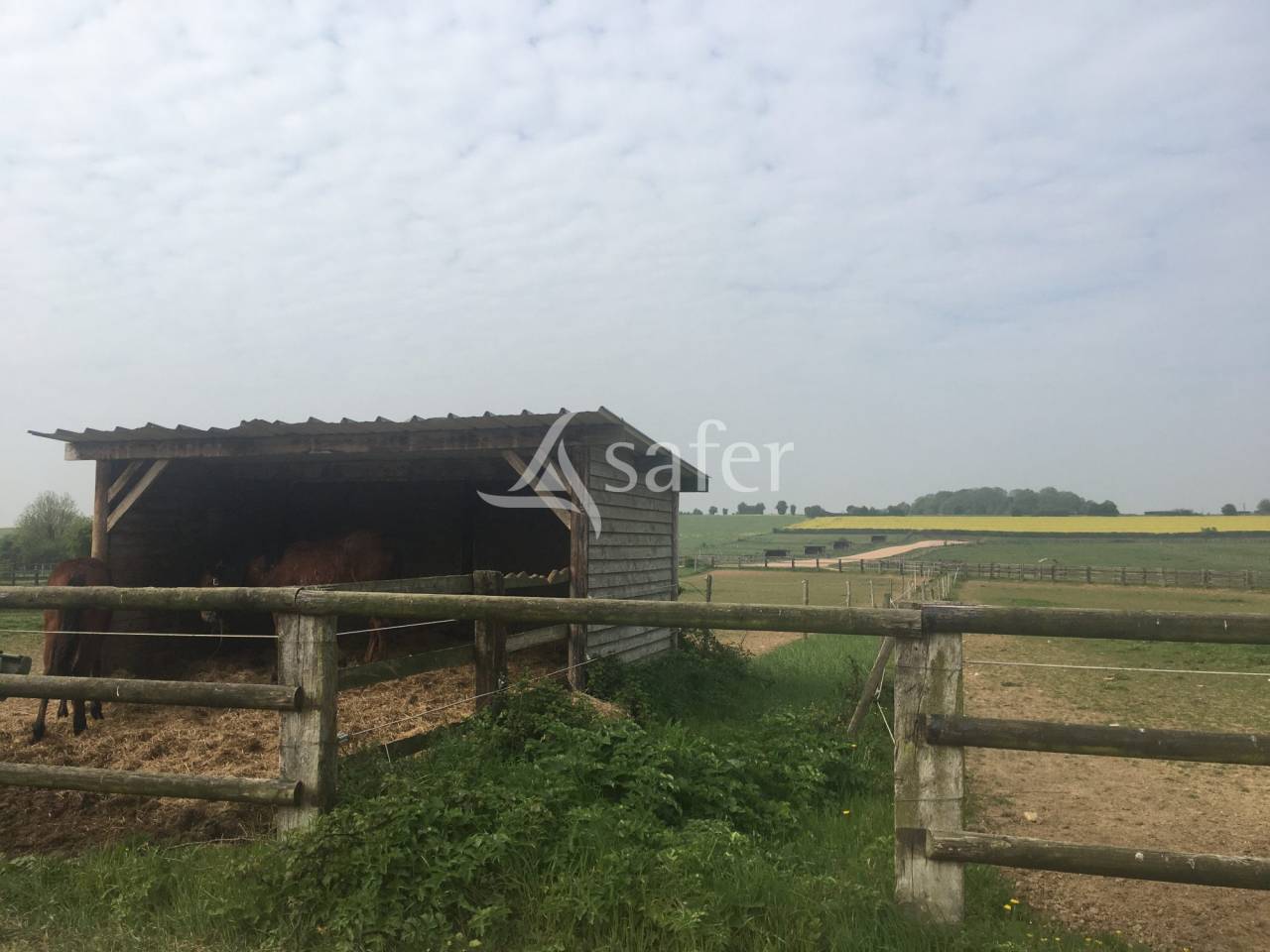 Propiedad ecuestre En venta Orne