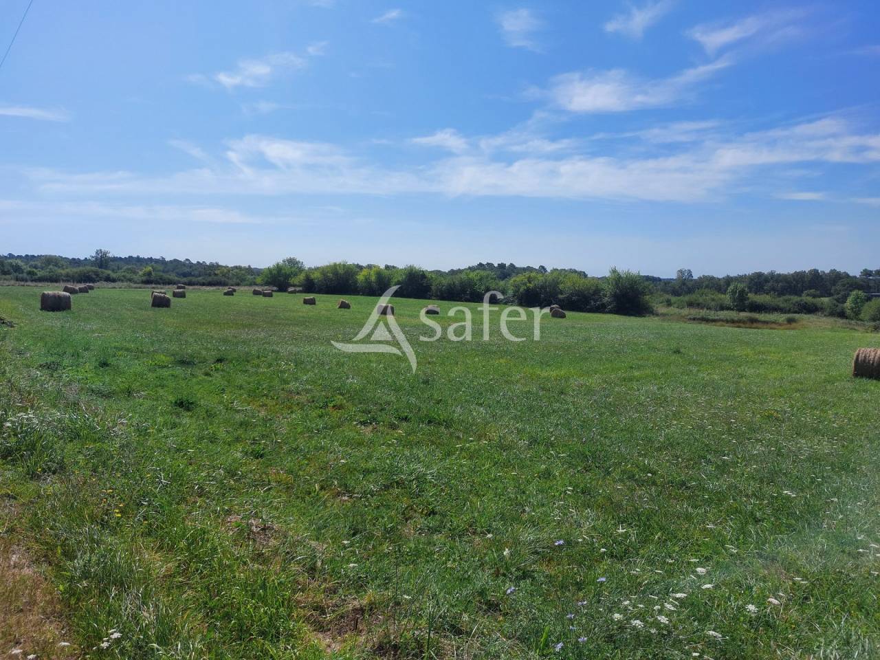 Explotación agrícola En venta Dordoña