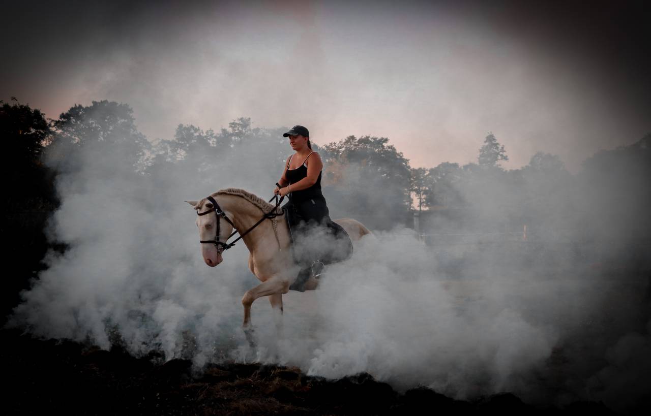 Karajan d'Aure  - Lusitano 2020 por Delirio de Bouchetis