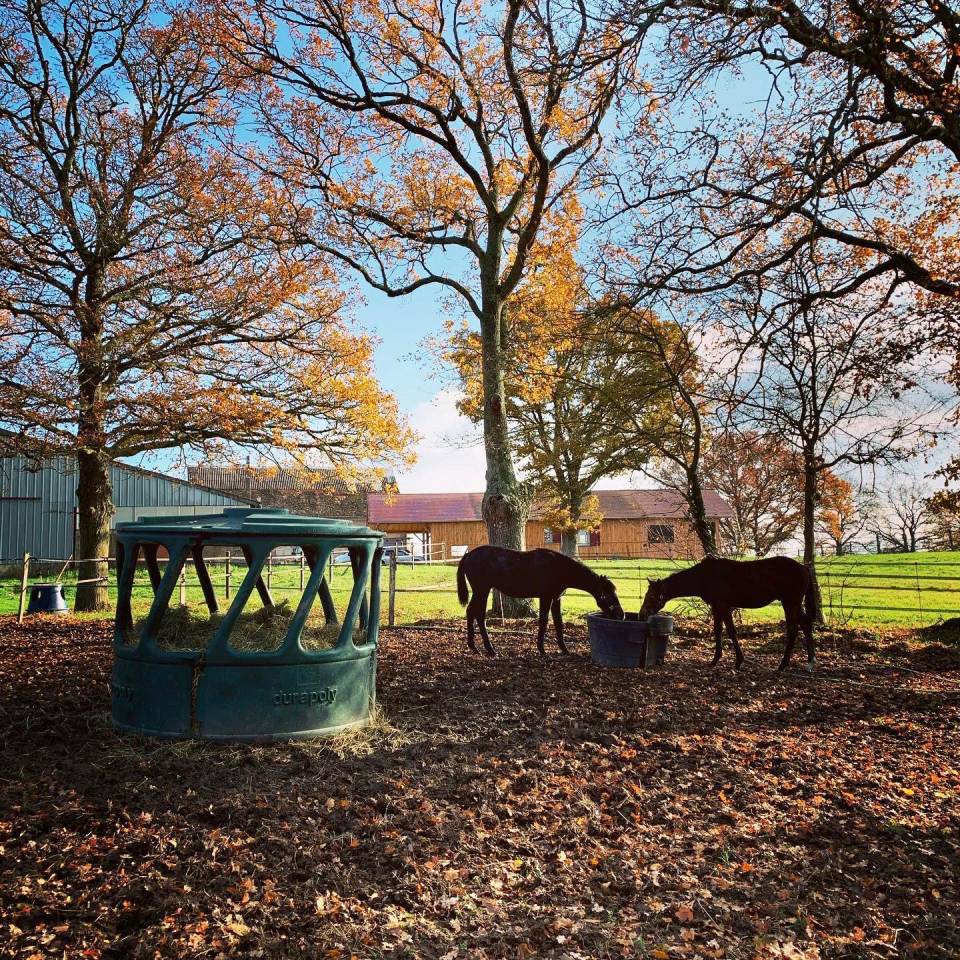 Acaballadero En venta Allier