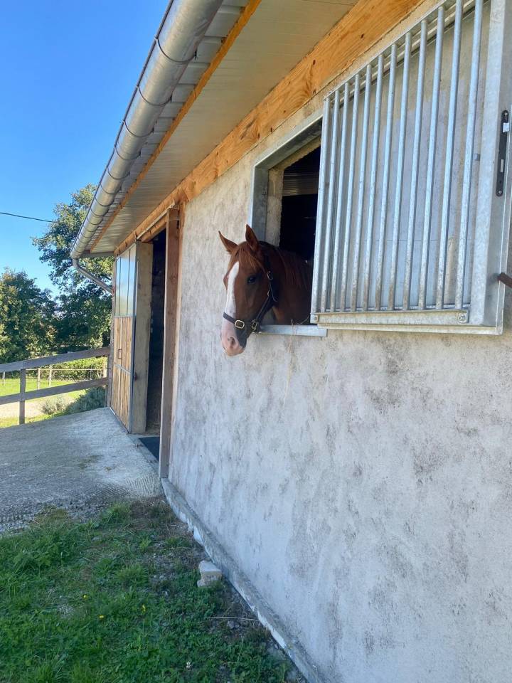 Acaballadero En venta Allier