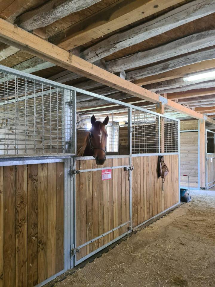 Acaballadero En venta Allier