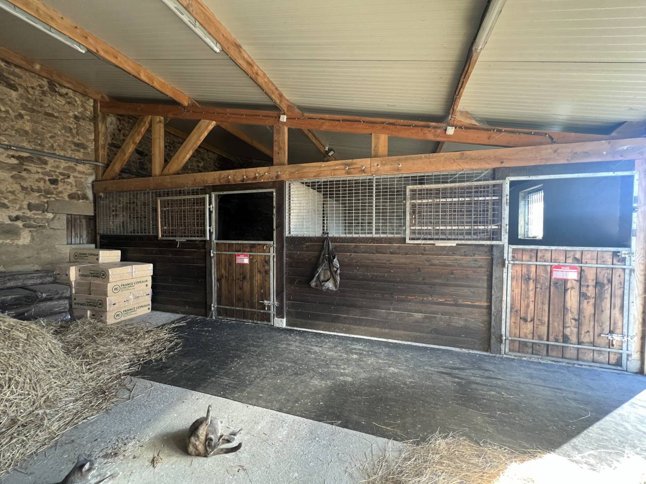 Acaballadero En venta Allier