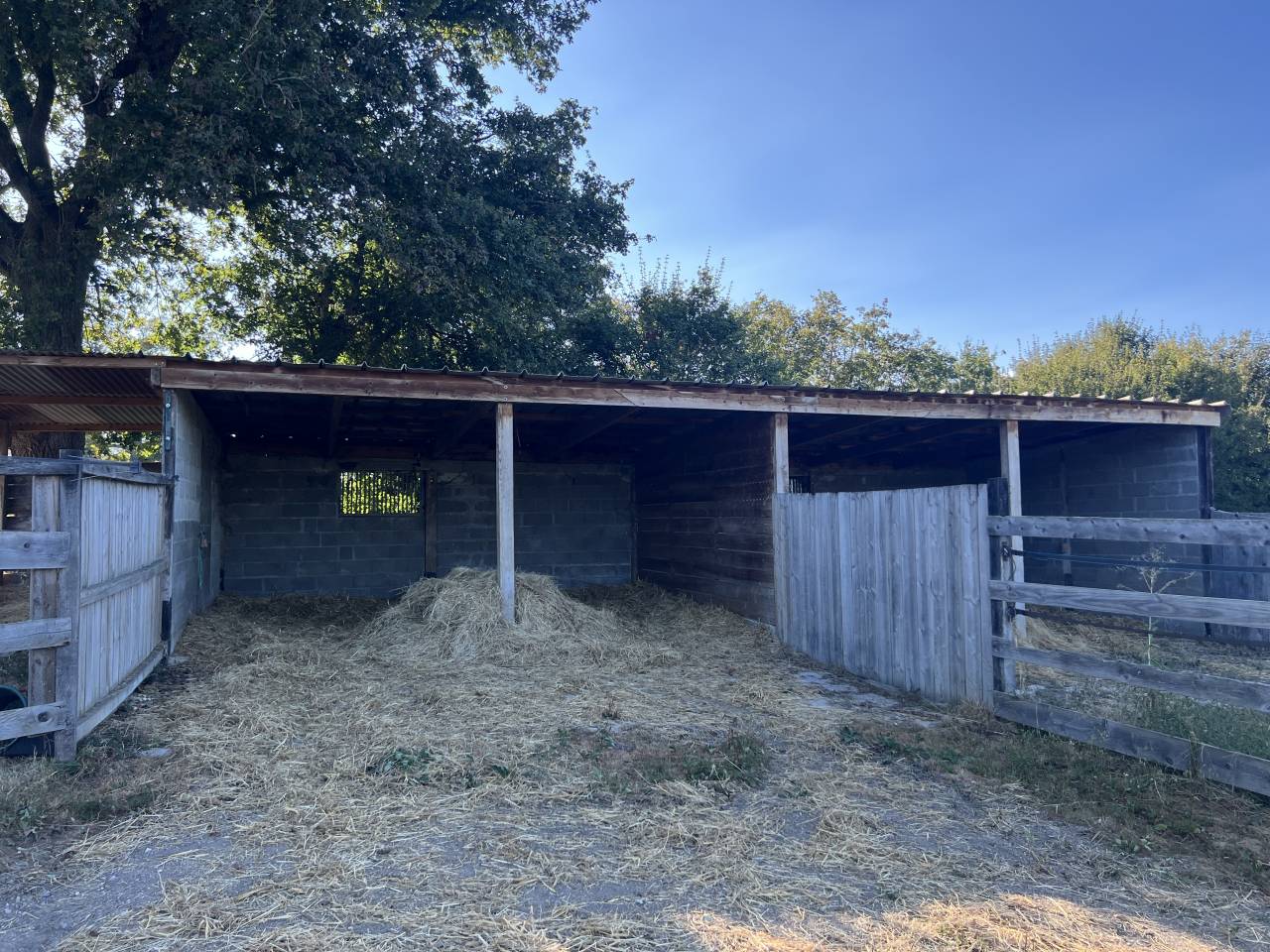 Acaballadero En venta Allier