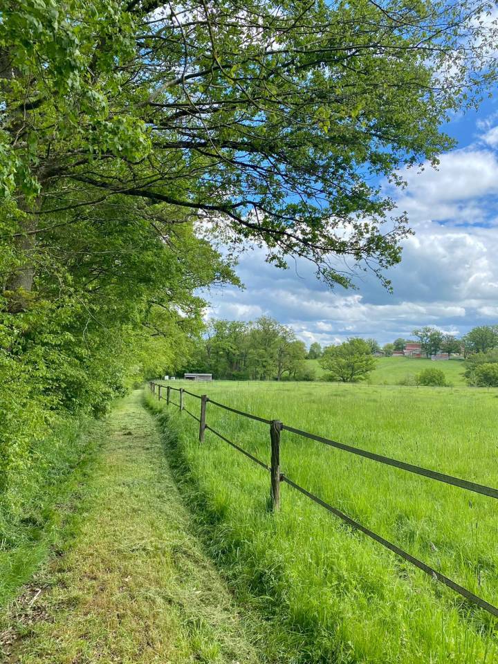 Acaballadero En venta Allier