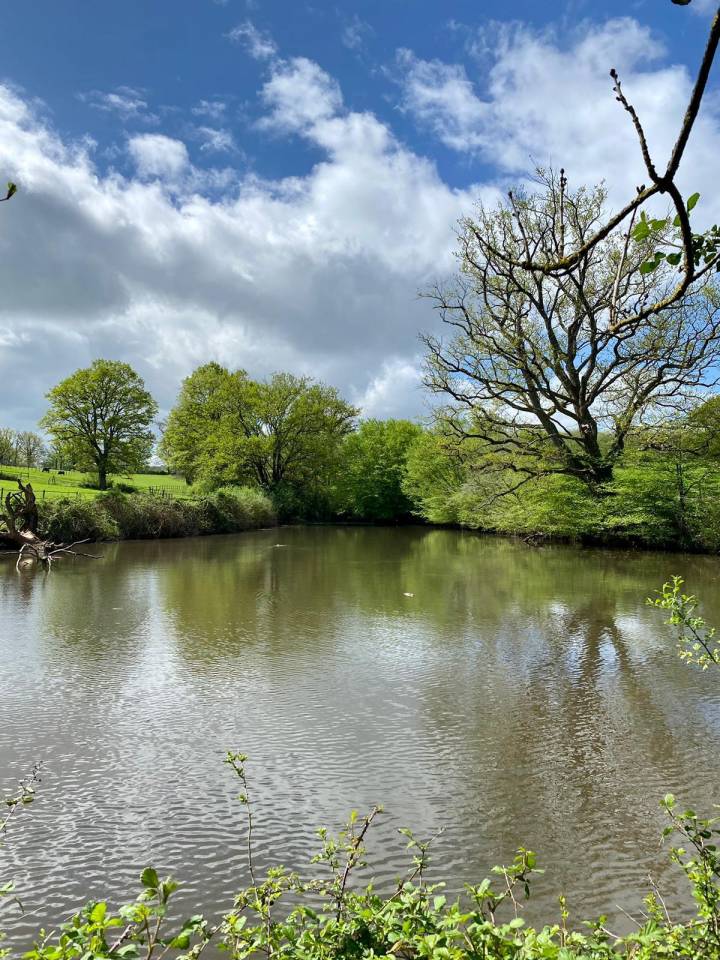 Acaballadero En venta Allier