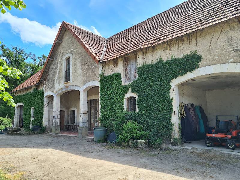 Castillo En venta Vienne