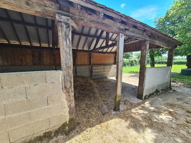 Castillo En venta Vienne