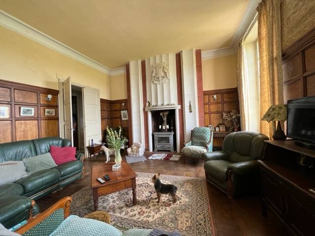 Castillo En venta Vienne