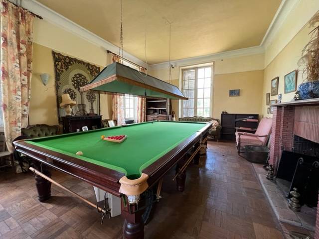 Castillo En venta Vienne