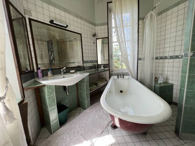 Castillo En venta Vienne