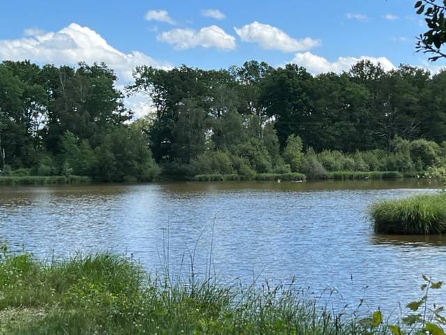 Castillo En venta Vienne