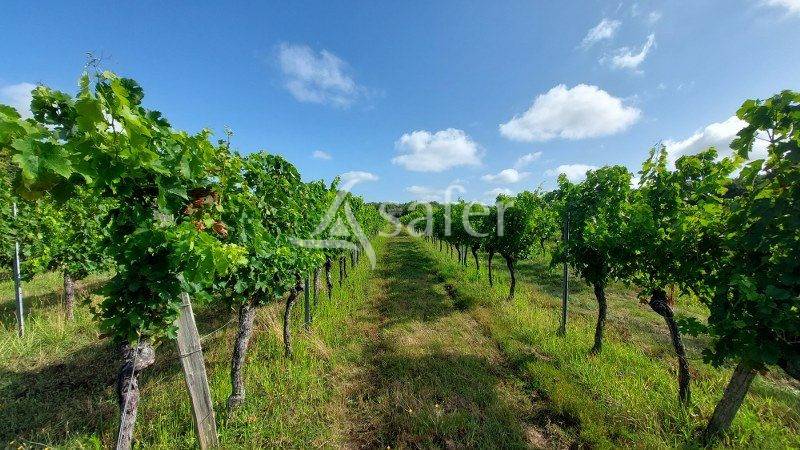 Propiedad rural En venta Gironda
