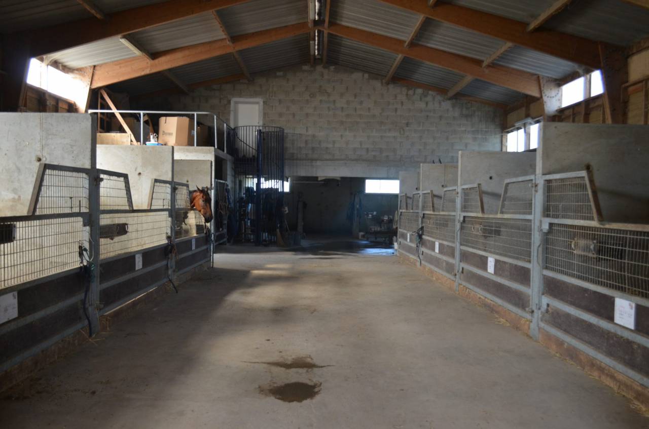 Acaballadero En venta Calvados