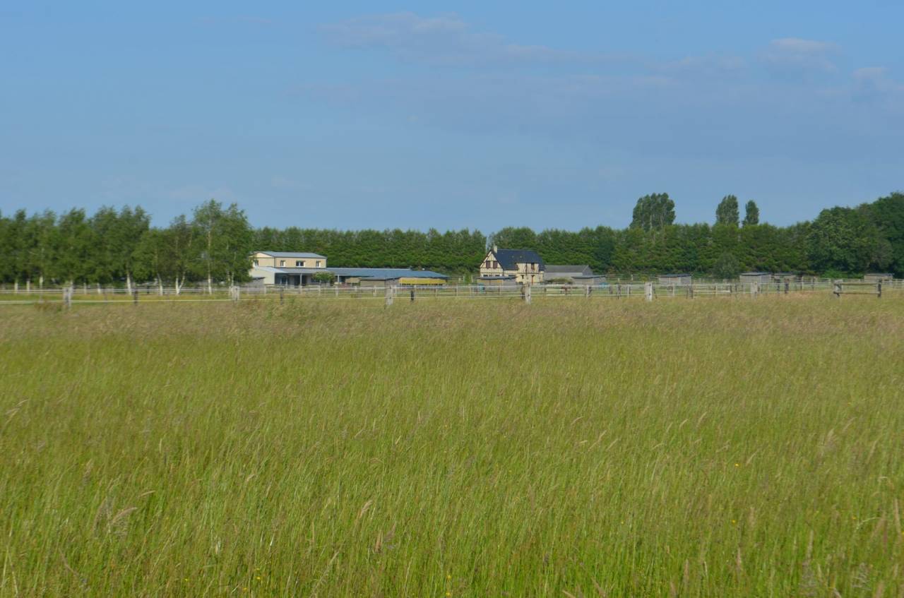 Acaballadero En venta Calvados