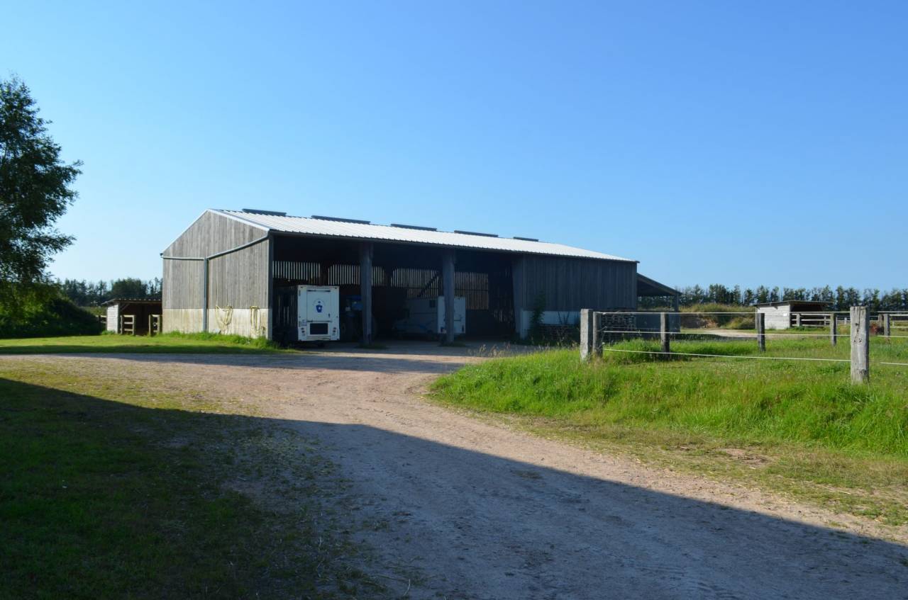 Acaballadero En venta Calvados