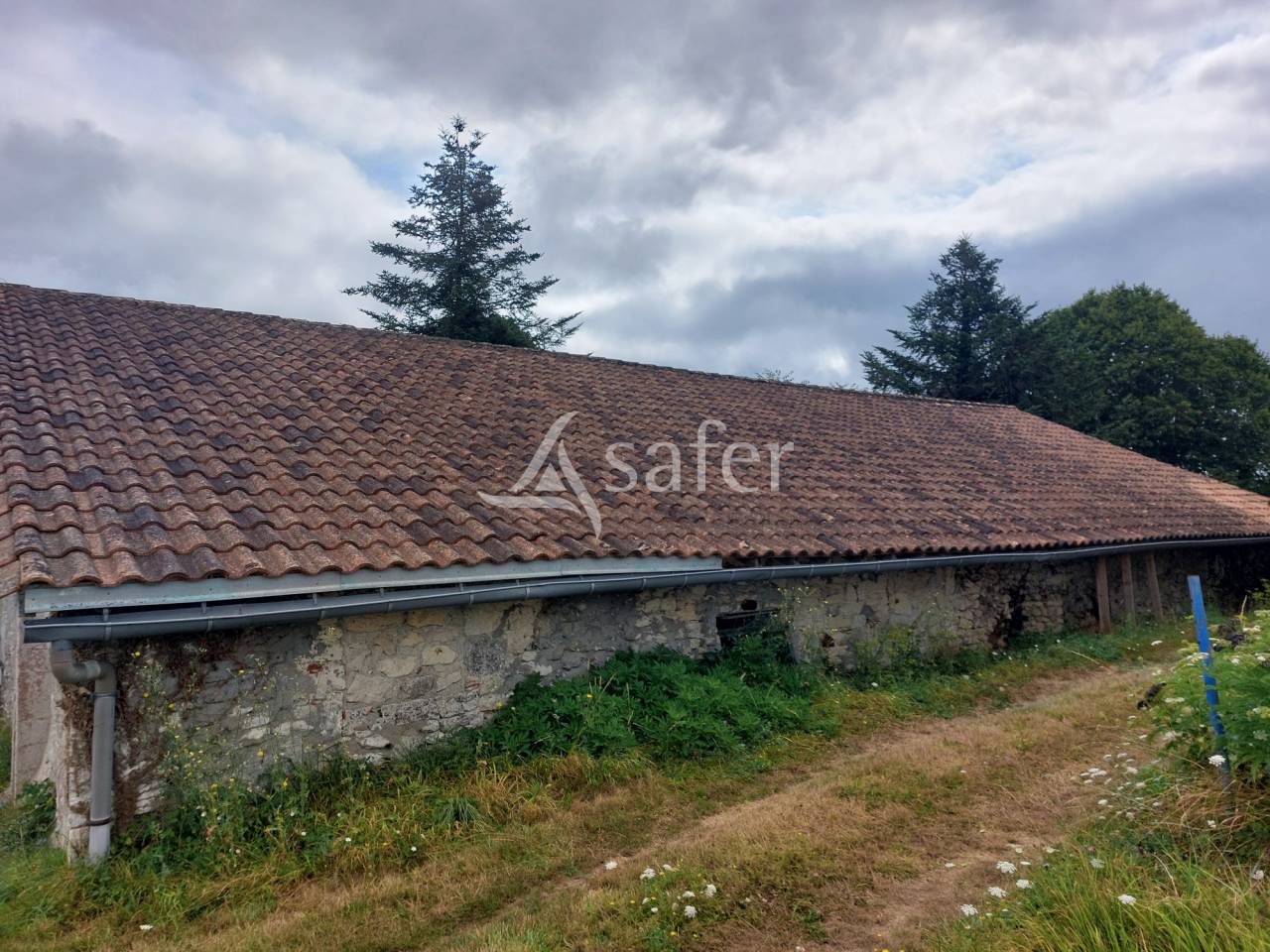 Explotación ovina En venta Dordoña